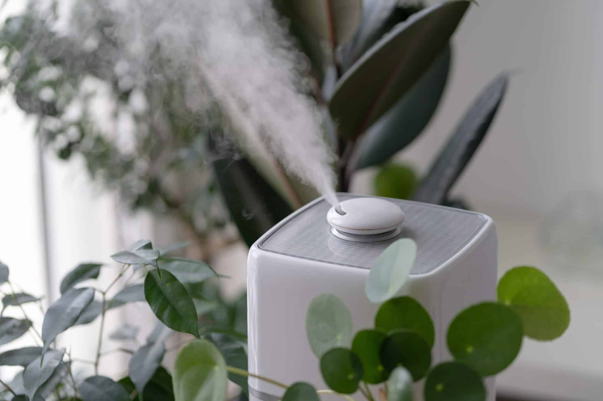 A white humidifier emitting a stream of mist, surrounded by lush green foliage, is positioned on a surface near a window. The scene is bright with natural light, creating a fresh and soothing atmosphere.